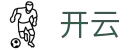 开云（kaiyun）官方网 - 网页版登录通道